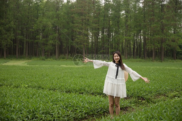 杭州雨蝶按摩哪家强，一探究竟！